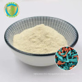 Lactobacillus Casei Powder Supplement Natural Beauty Products